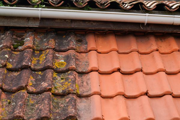 Industrial Roof Cleaning in Sevierville
