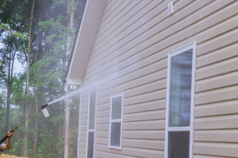 Siding and Panel Cleaning